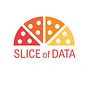 SLICEofDATA's avatar