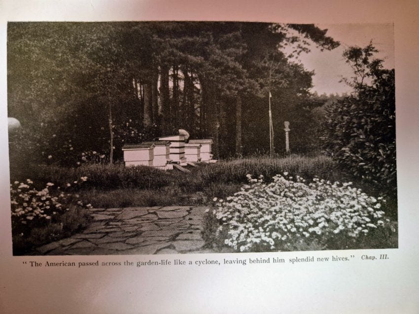 Illustration from The Garden of Experience2