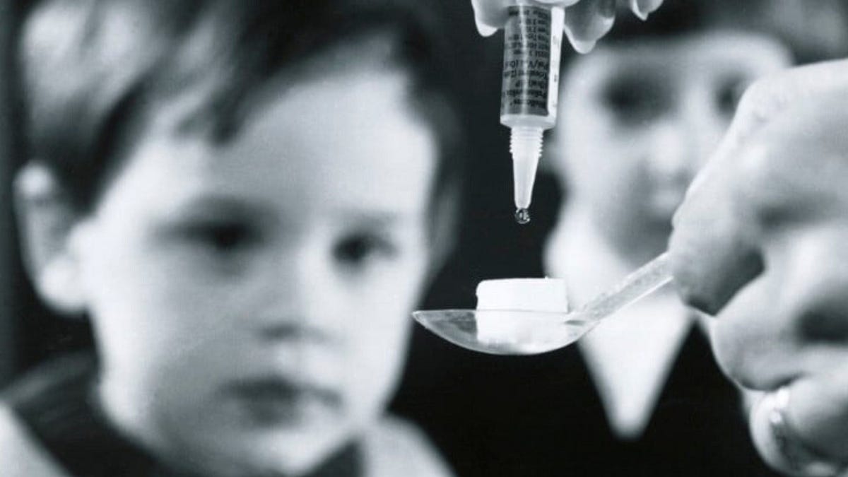 autismwarriormom.substack.com