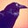 Ron Doucet's avatar