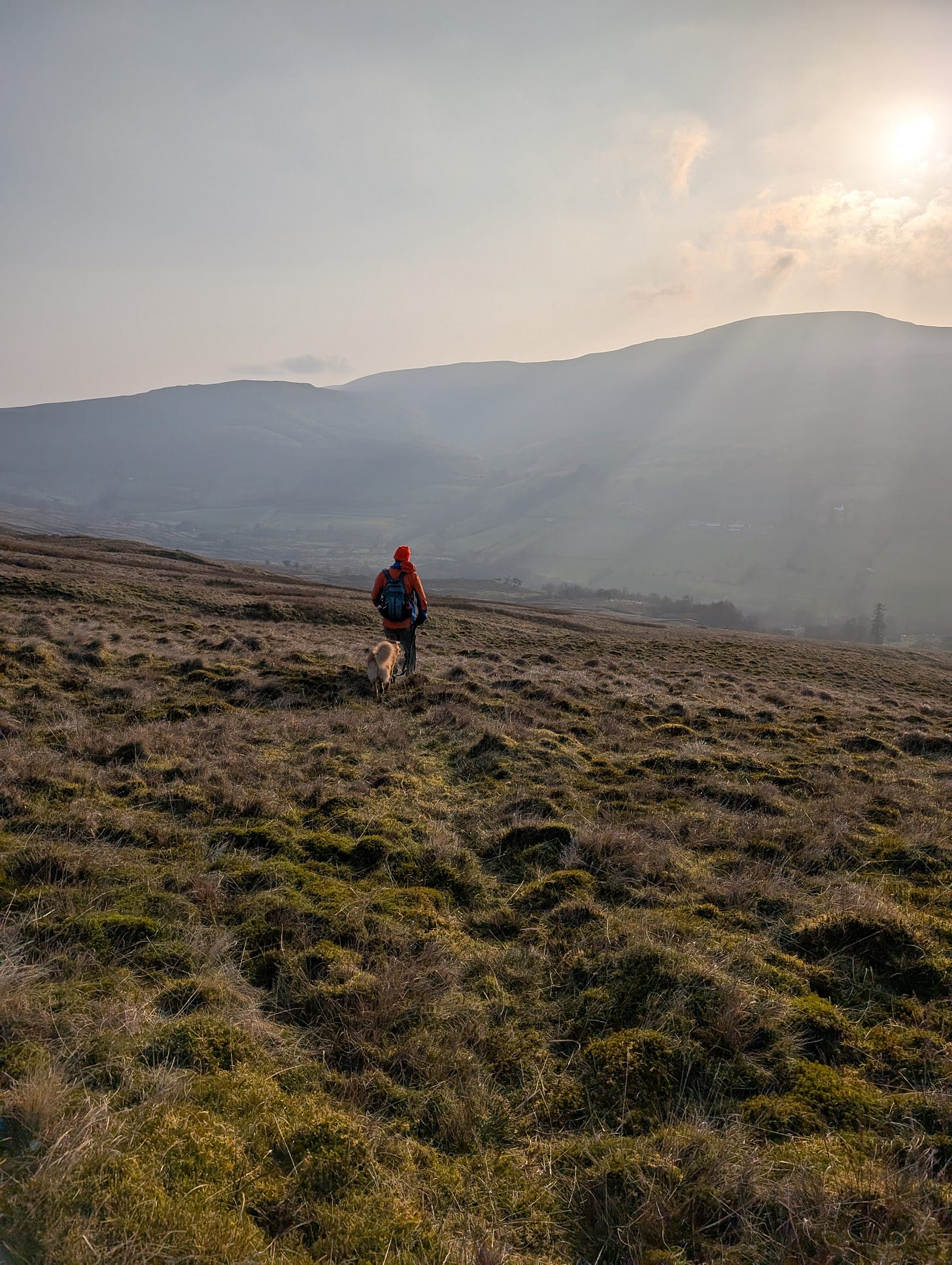 a man and his dog walk down the side of Whernside towards the quiet area of Hingabank.
