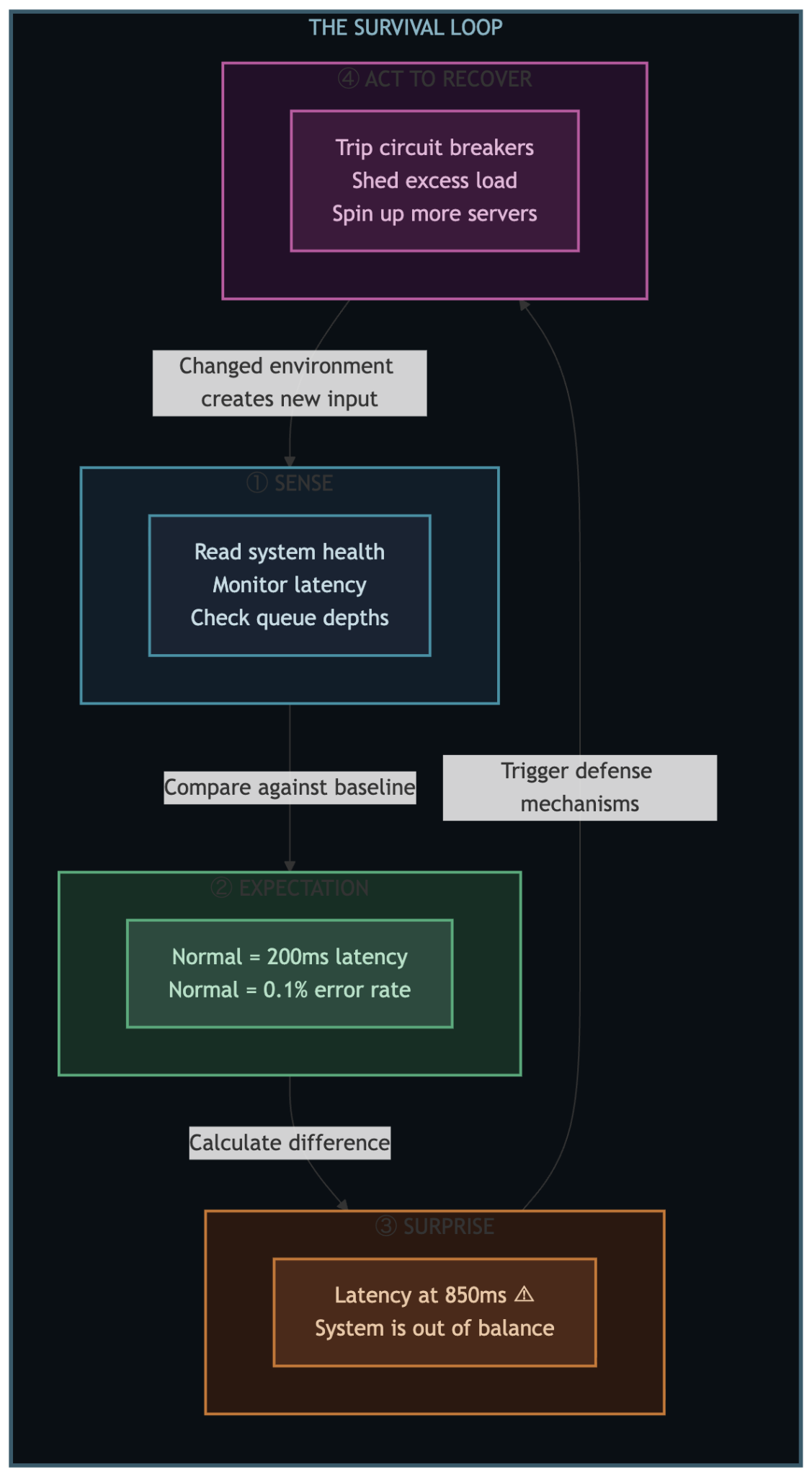 A four-step flowchart showing a continuous feedback loop for system survival. Step 1 is Sense (monitoring latency). Step 2 is Expectation (comparing against a 200ms baseline). Step 3 is Surprise (detecting an 850ms latency spike). Step 4 is Act to Recover (tripping circuit breakers and spinning up servers), which feeds back into Step 1. A four-step flowchart showing a continuous feedback loop for system survival. Step 1 is Sense (monitoring latency). Step 2 is Expectation (comparing against a 200ms baseline). Step 3 is Surprise (detecting an 850ms latency spike). Step 4 is Act to Recover (tripping circuit breakers and spinning up servers), which feeds back into Step 1.