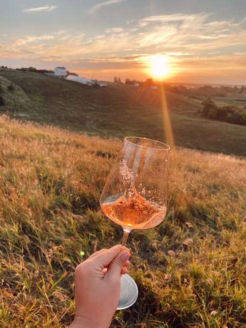 Free Person Holding a Wine Glass at Sunset Stock Photo