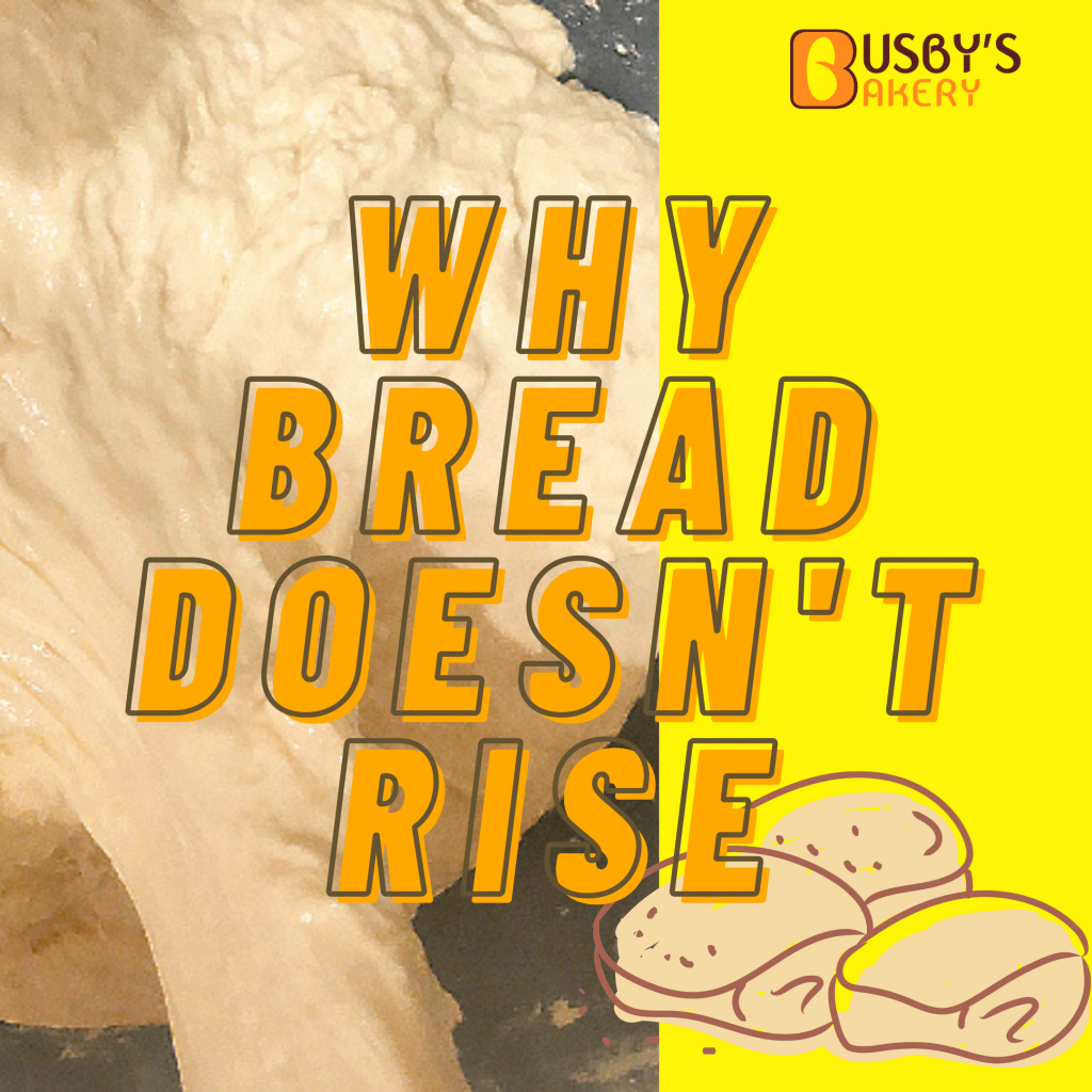 13 Reasons Why My Bread Didn't Rise – Let's Fix It FAST 13 Reasons Why My Bread Didn't Rise – Let's Fix It FAST