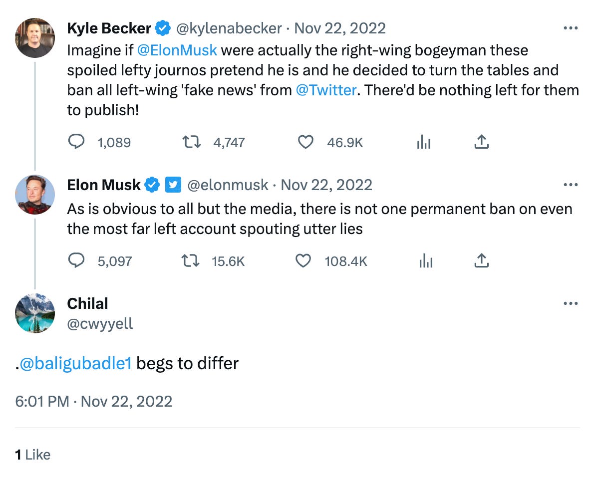 screenshot of @cwyyell complaining to Elon Musk about @Baligubadle1 suspension