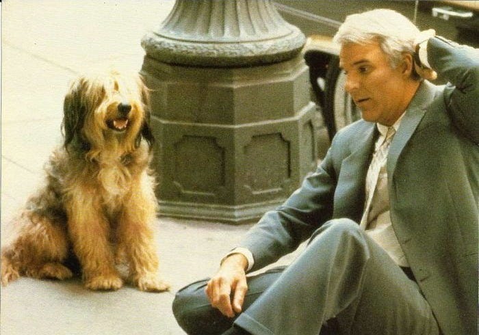 ALL OF ME Steve Martin, Lily Tomlin 1984 F-O-H Stills Set (8) on eBid  United Kingdom | 141604373