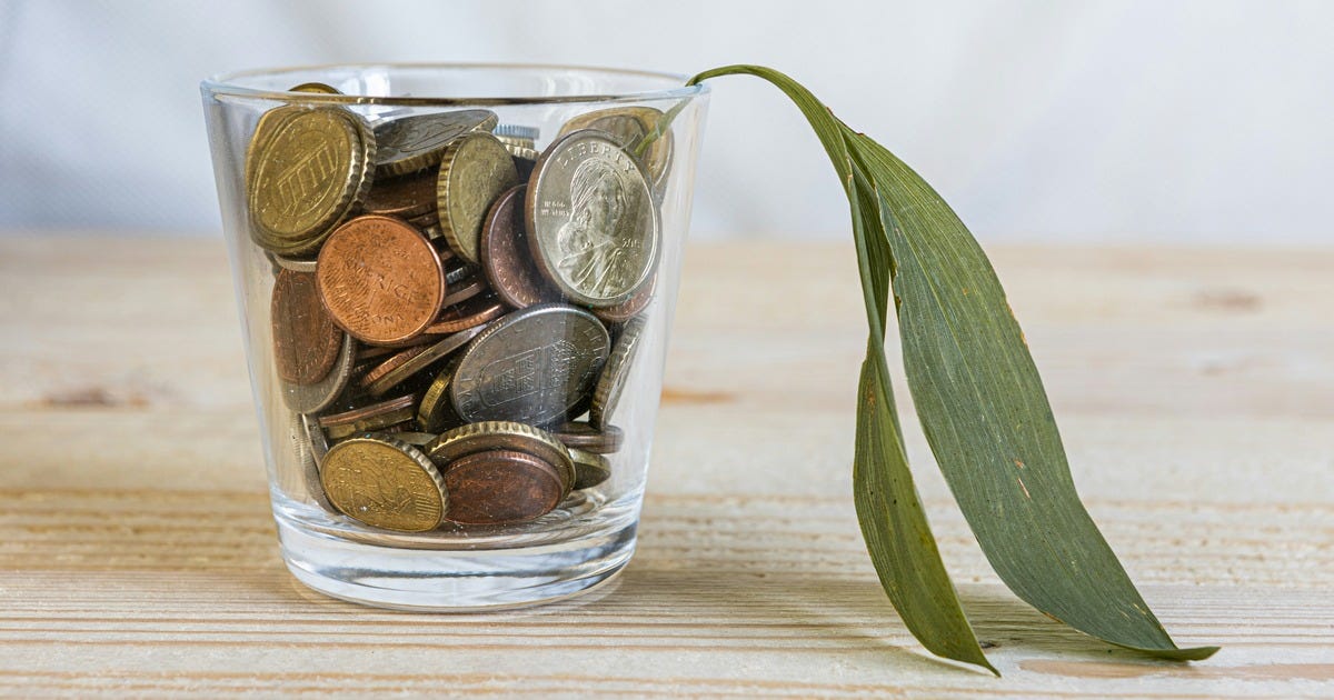 A half-dead leaf protrudes from a shotglass of coins.