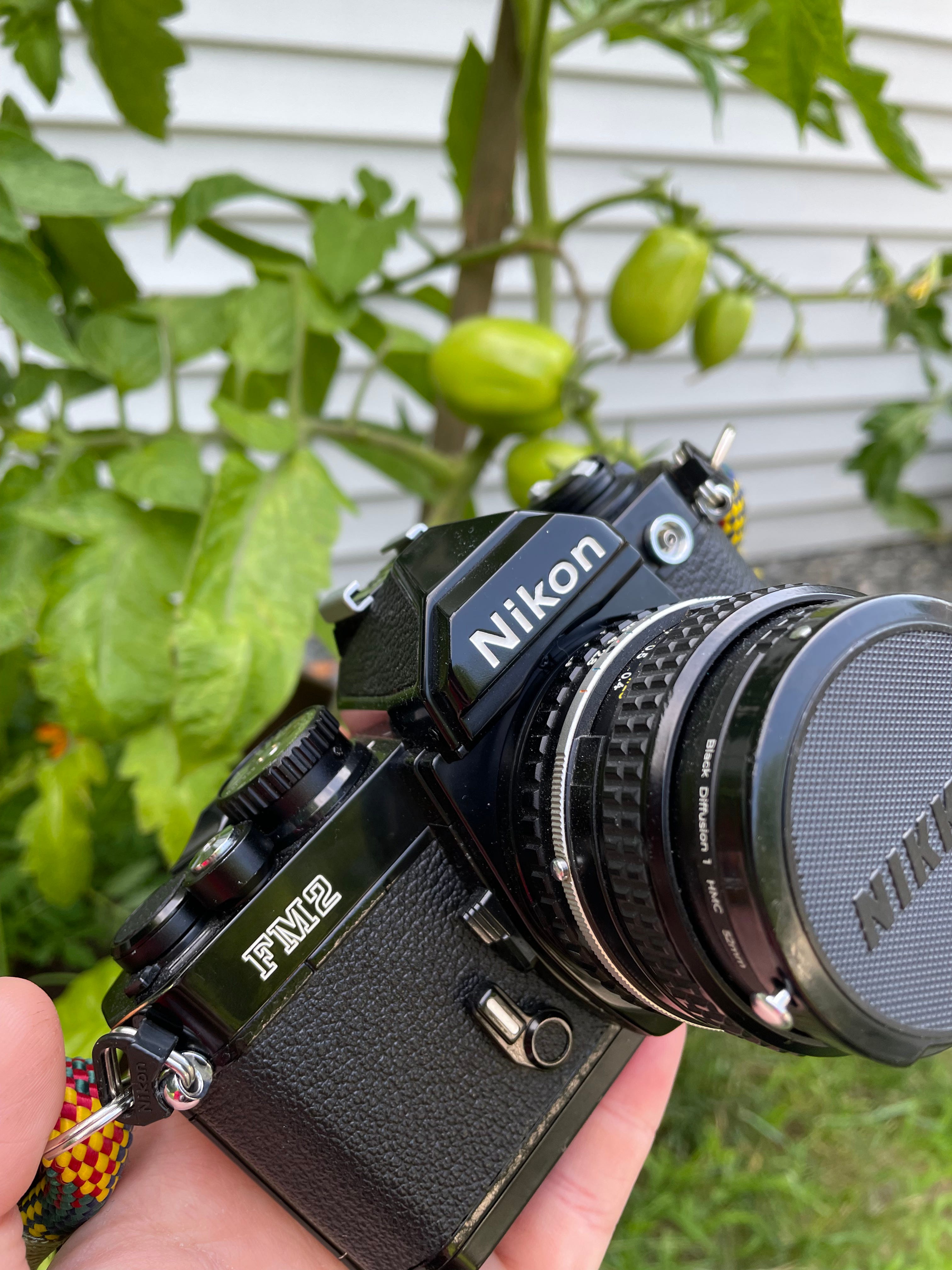 フィルムカメラ NIKON FM2n Nikon FM2n 5-Month Review - by Molly Kate - eclectachrome
