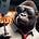 Donkey Konger's avatar
