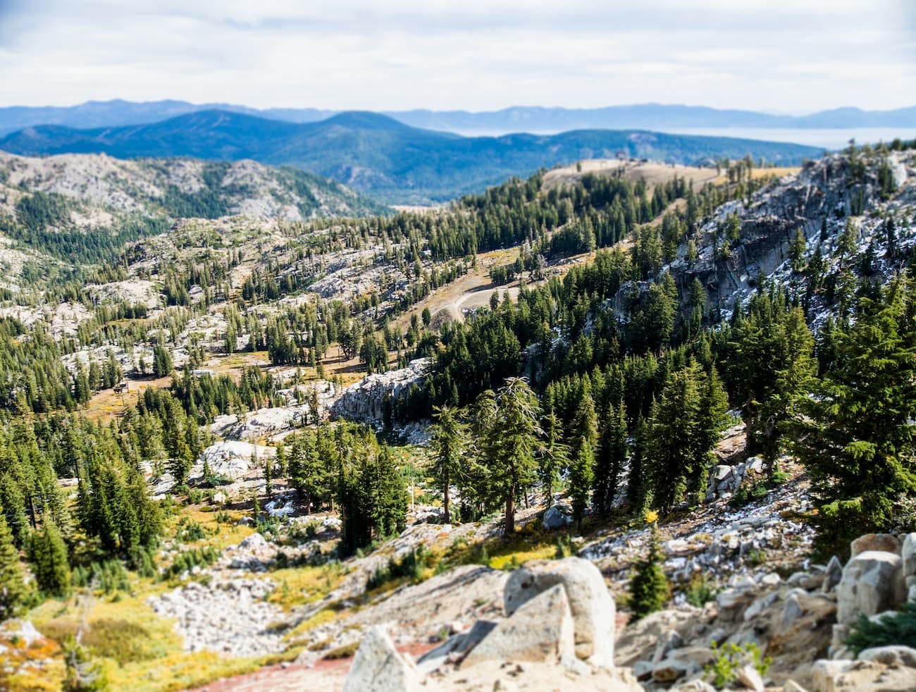 Granite Chief Wilderness