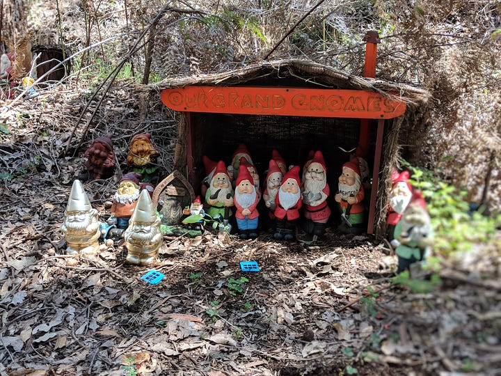 Gnomesville gnomes