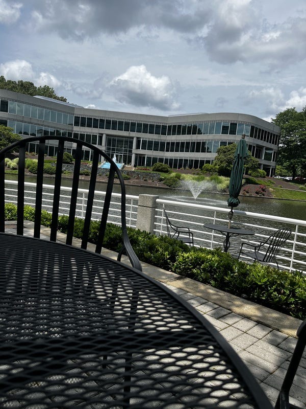 Lunch Views 