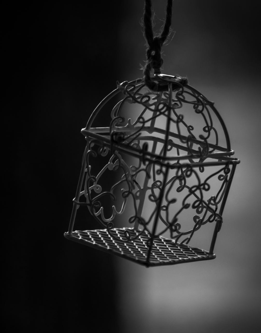 a black and white photo of a bird cage