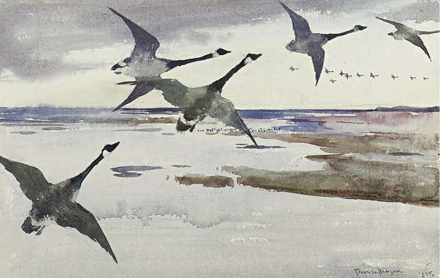 Black and white Canada geese fly over a gray and blue watercolor shore.