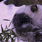 We Tried To Send These Tabs Without A Headline! Tabs, Tues., Jan. 13, 2026