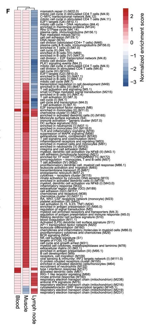 This is a screenshot of a long list of different parts of the innate immune system. There are over 100 different things being tested and though technically I probably should list them all to you... I'm sure you'll understand if I save us all the time by saying that it's a ton of stuff and a bunch are affected Matrix M alone, but we are focusing on Interferon 1 which is affected by Matrix M directly.