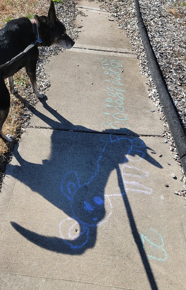 photos of kids chalk drawings on a curved sidewalk and a large leopard frog