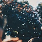 Only Time Will [really] Tell 