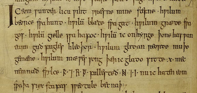 Image from the Exeter Book, folio 106 verso, showing Riddle 22