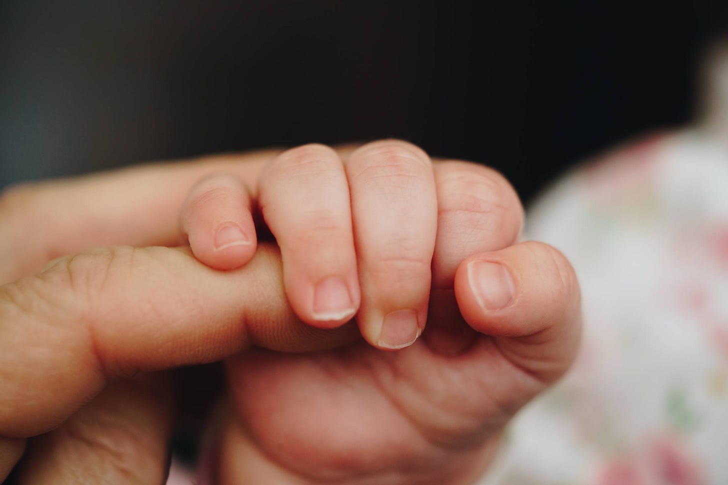 Newborn Baby Holding Parent's One Hand | Free Love Image by picjumbo