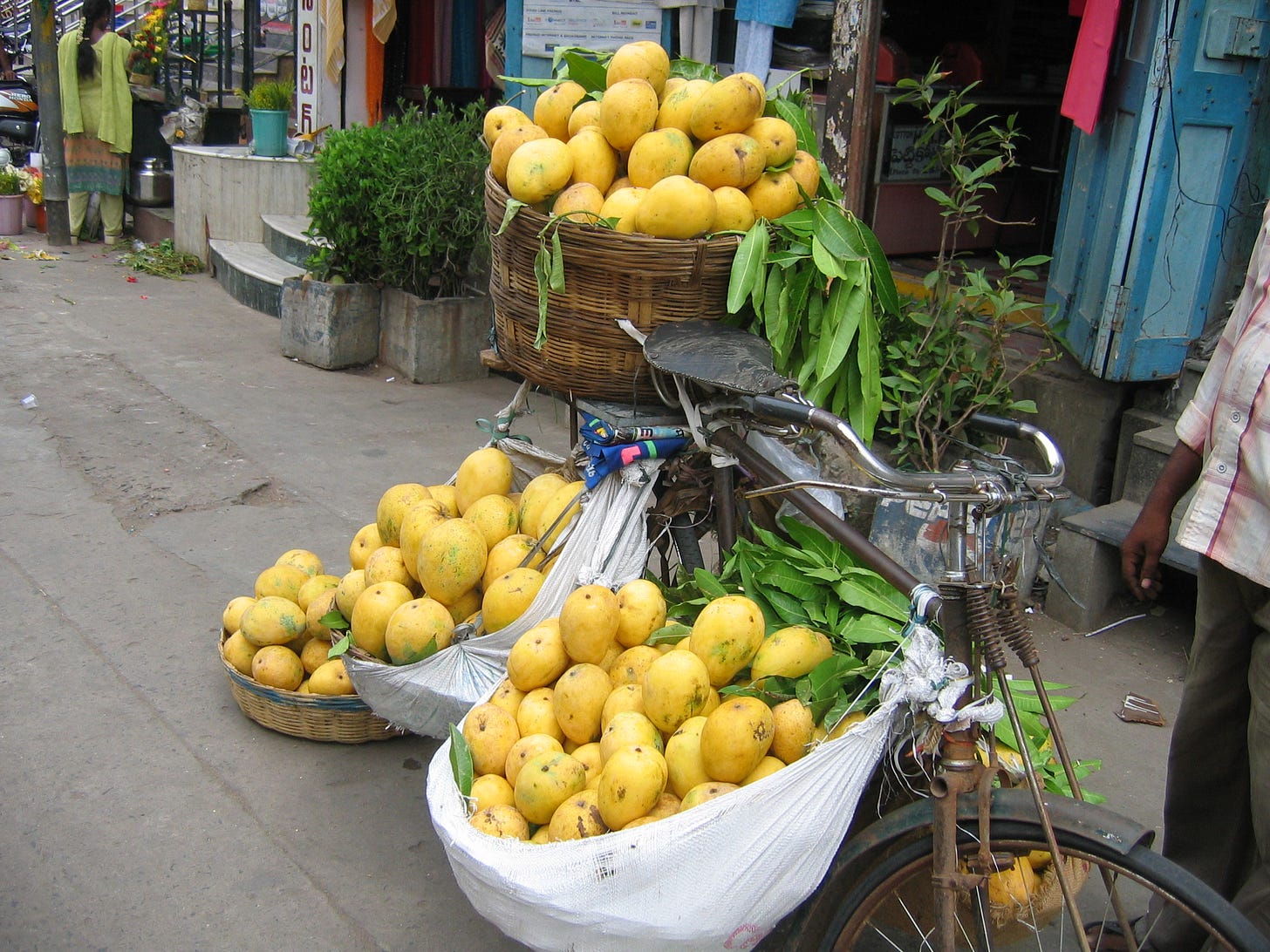 Banganapalle (mango) - Wikipedia Banganapalle (mango) - Wikipedia