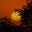 Optimistical's avatar