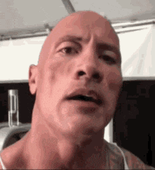 The Rock Eyebrow GIFs | Tenor