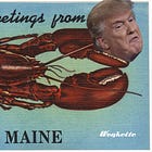 Maine Secretary Of State Yanks Trump Right Off Primary Ballot, For Doing Bad Things!