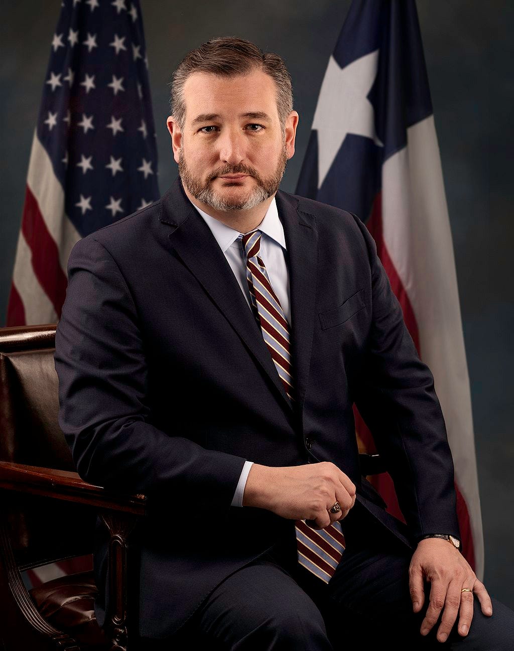 official Senate portrait of bearded Ted Cruz, sitting, wearing suit, flag behind him