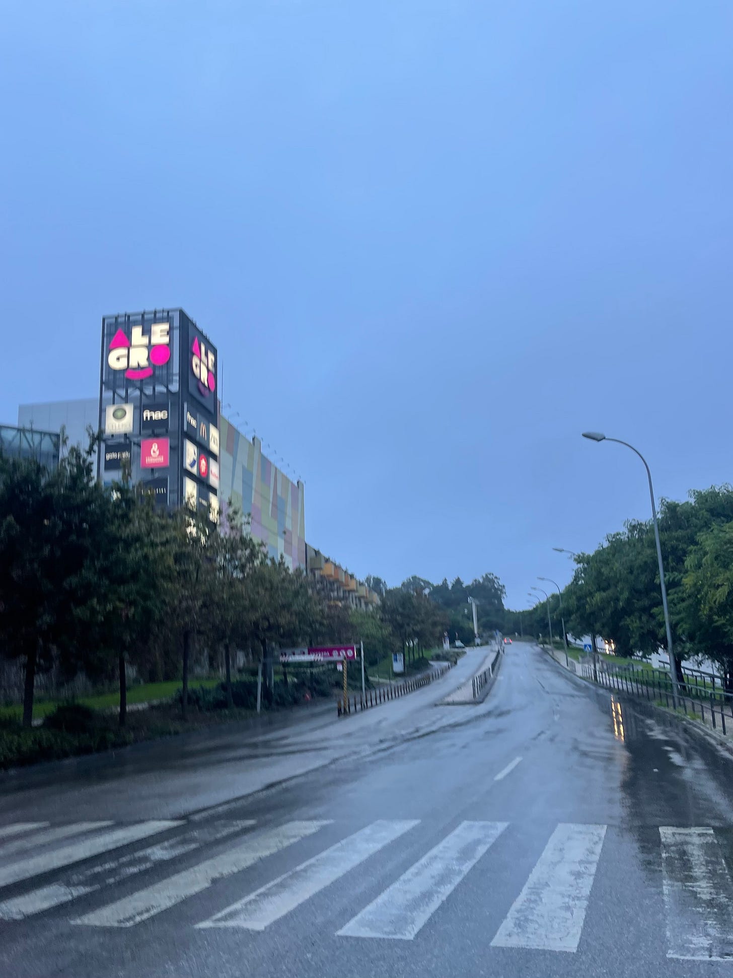 IMG_5288.jpeg