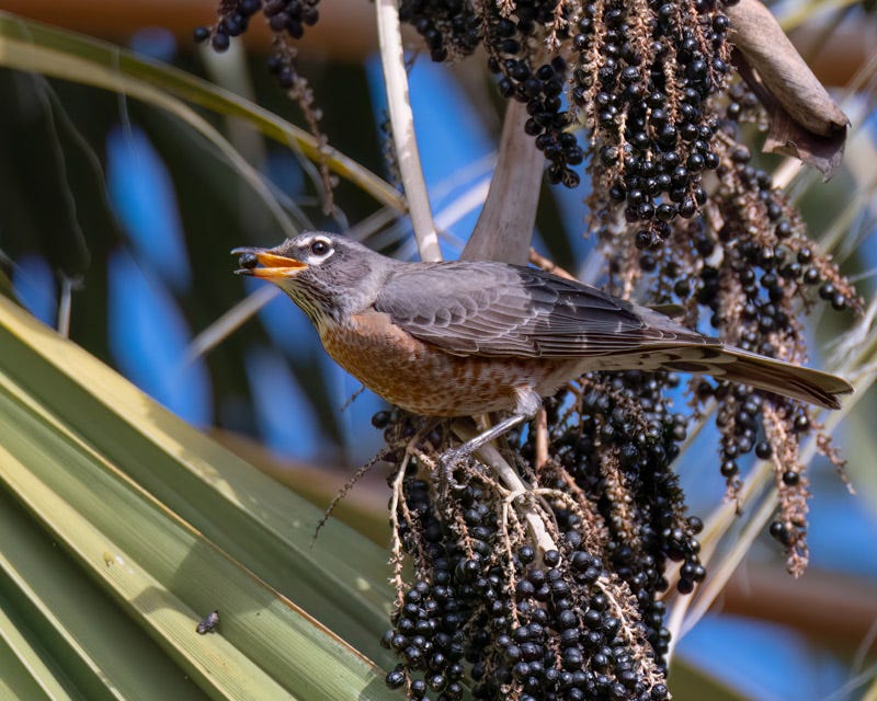 230104-misc-241-Edit.jpg 230104-misc-241-Edit.jpg