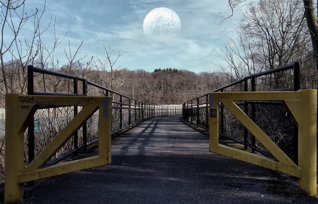 brown wooden bridge under blue sky during daytime