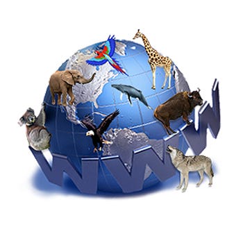 Animal World Unfiltered