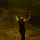 Primal Druidry