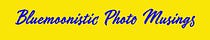 Bluemoonistic Photo Musings