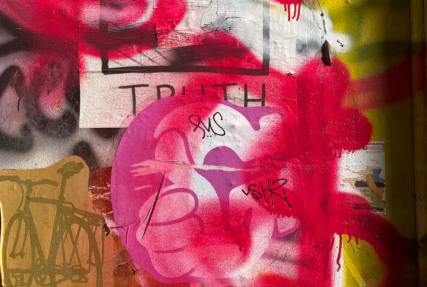 A graffiti’d, stickered, and wheatpasted doorway with partially visible and partially obscured images of a bicycle, a thumbs-up sign, a poster with the word truth, and other layers, with bright red spray-painted unreadable letters over the top.