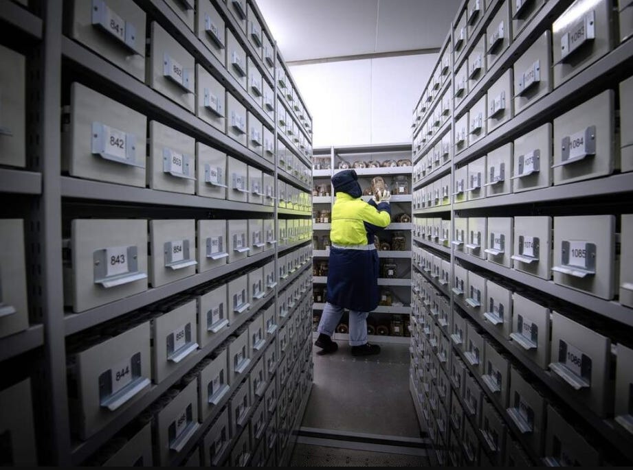 Kew Gardens : comment 2 milliards de graines sauvent la biodiversité mondiale Kew Gardens : comment 2 milliards de graines sauvent la biodiversité mondiale