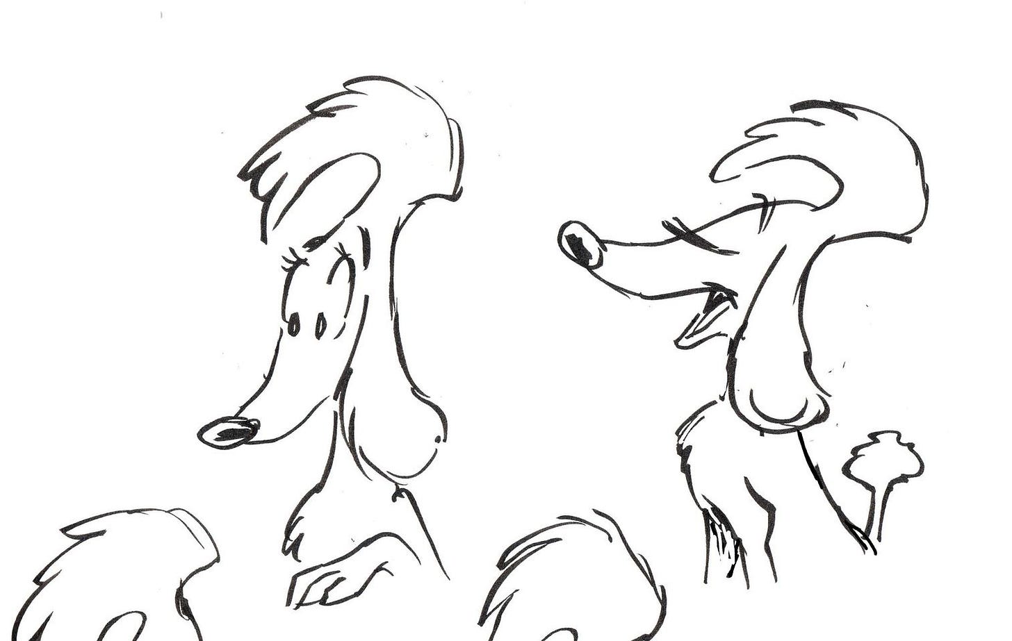 May be an illustration of Afghan hound