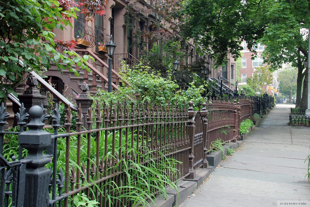 a pretty brownstone-lined street in Brooklyn