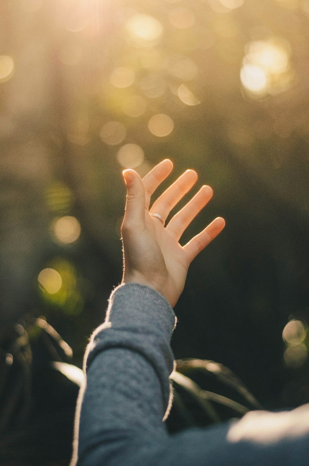 shallow focus photography of person raising hand shallow focus photography of person raising hand