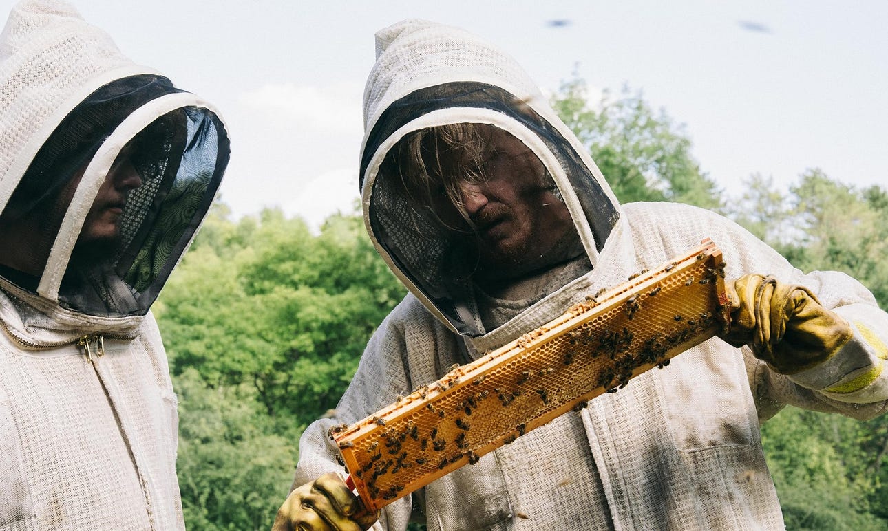 bugonia jesse plemons