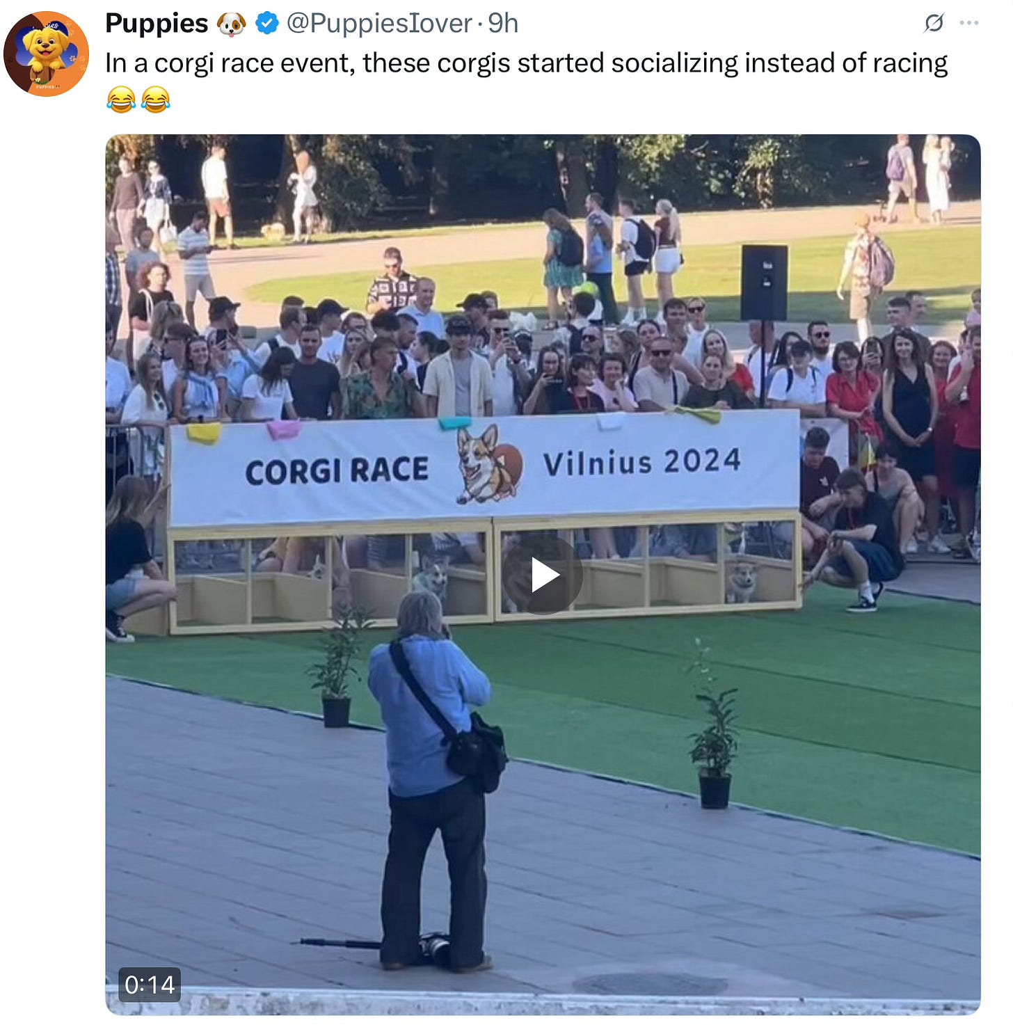 Image.heic Image.heic