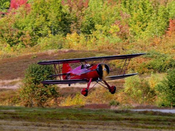 Red Baron Adventure Foliage