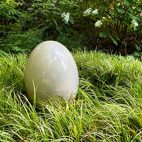 Grasses Beyond Turf