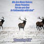 Running Elk's avatar