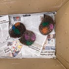 Verso la libertà: il rilascio controllato di Olaf, Ozzy e Xena