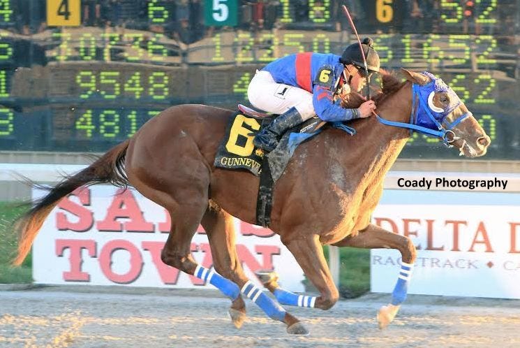 GUNNEVERA kentucky derby picks 2017 GUNNEVERA kentucky derby picks 2017