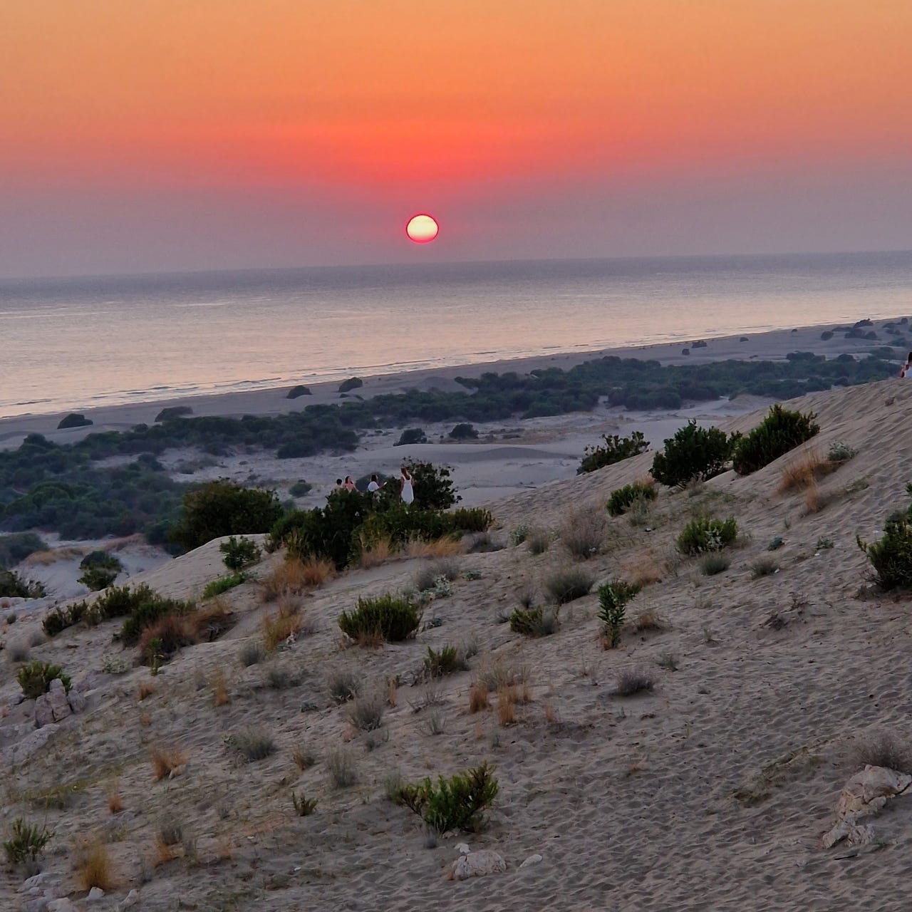 Glimpses of the Horizon