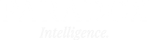 Paradox Intelligence