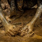 Mahama’s gold rush is fast and furious